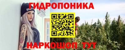 бошки Будённовск