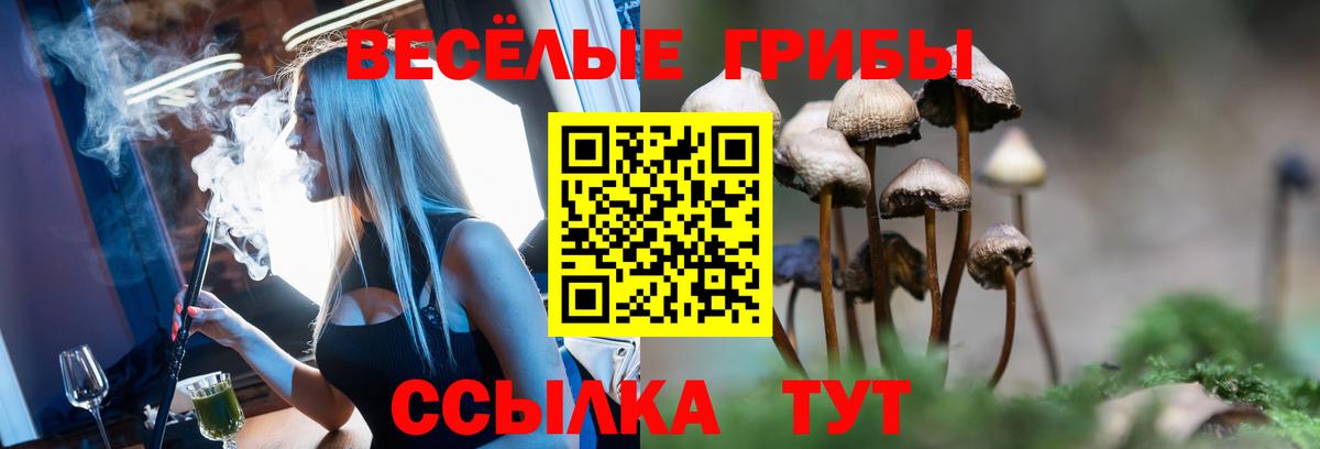 Ставрополь  Галлюциногенные грибы мухоморы  Вход с VPN 